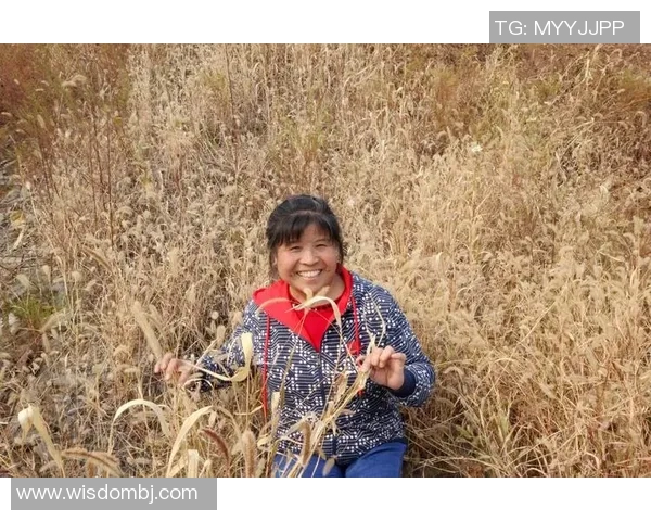 《从街头少年到足坛传奇足球球星H的崛起与荣耀之路》