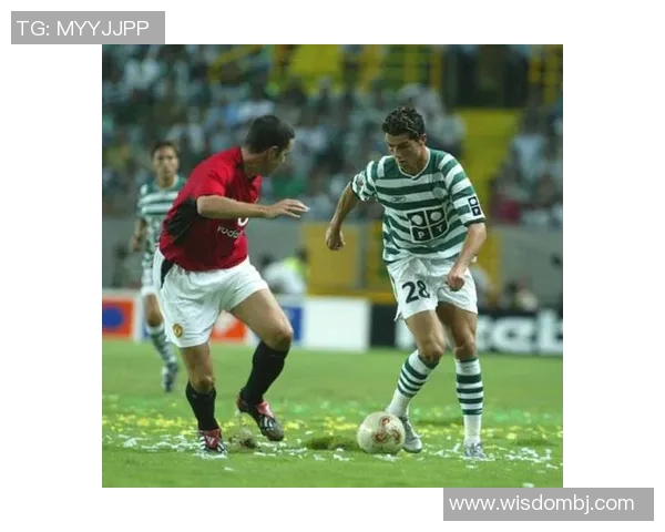 足球巨星彼得的成长历程与辉煌成就深度剖析