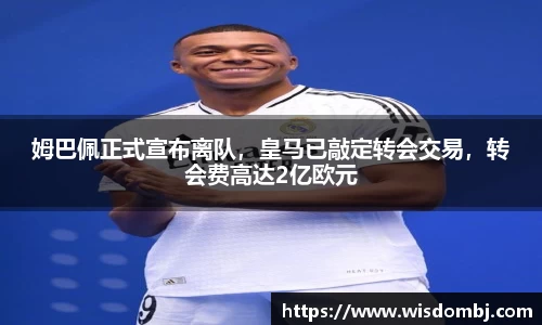 智博19有限公司